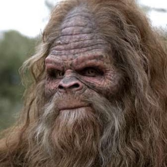 thesasquatch83
